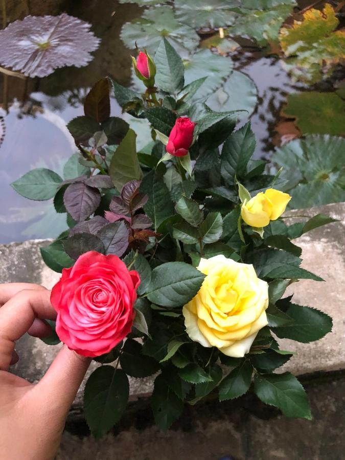 Son Thuy Homestay 하 기앙 외부 사진
